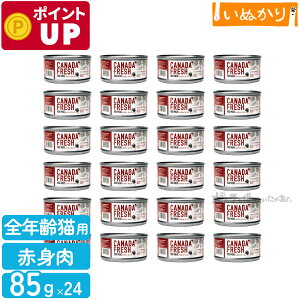 ybgJCh Ji_tbV bh~[g 85g×24 Lp h{H SN r[t   r Ԑg EFbgt[h Lbgt[h e ܂Ƃߔ