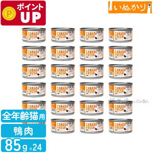 ybgJCh Ji_tbV _bN 85g×24 Lp h{H SN  EFbgt[h Lbgt[h e ܂Ƃߔ