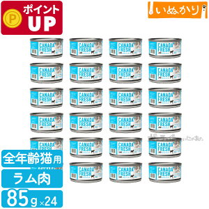 ybgJCh Ji_tbV  85g×24 Lp h{H SN r EFbgt[h Lbgt[h e ܂Ƃߔ