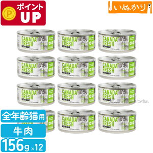 ybgJCh Ji_tbV r[t 156g×12 Lp h{H SN  EFbgt[h Lbgt[h ܂Ƃߔ