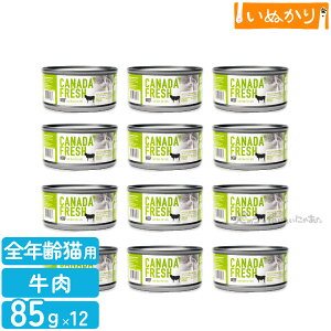 ybgJCh Ji_tbV r[t 85g×12 Lp h{H SN  EFbgt[h Lbgt[h e ܂Ƃߔ