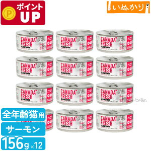 ybgJCh Ji_tbV T[ 156g×12 Lp h{H SN   EFbgt[h Lbgt[h ܂Ƃߔ