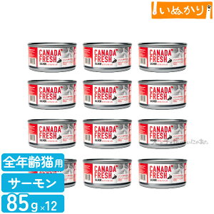 ybgJCh Ji_tbV T[ 85g×12 Lp h{H SN   EFbgt[h Lbgt[h e ܂Ƃߔ