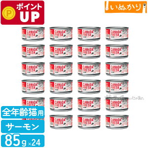 ybgJCh Ji_tbV T[ 85g×24 Lp h{H SN   EFbgt[h Lbgt[h e ܂Ƃߔ