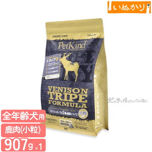 ybgJCh gCvhC O[xj\gCv  907g p SN xj\ gCv hbOt[h hCt[h A~m_ sgp AM[z e