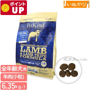 ybgJCh gCvhC O[gCvSAP  6.35kg p SN  gCv hbOt[h hCt[h A~m_ sgp AM[z