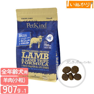 ybgJCh gCvhC O[gCvSAP  907g p SN  gCv hbOt[h hCt[h A~m_ sgp AM[z e