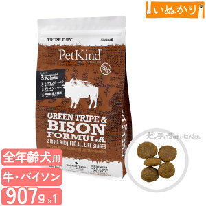 ybgJCh gCvhC O[r[tgCvoC\ 907g p SN r[t gCv hbOt[h hCt[h A~m_ sgp e