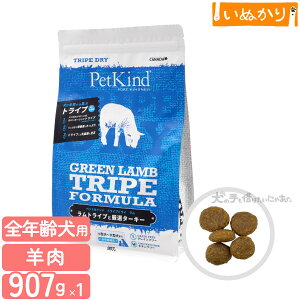 ybgJCh gCvhC O[gCv 907g p SN  gCv hbOt[h hCt[h A~m_ sgp e