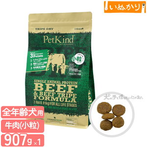 ybgJCh gCvhC O[r[tgCvSAP  907g p SN r[t gCv hbOt[h hCt[h A~m_ sgp AM[z e