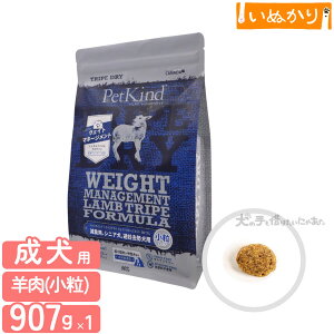 ybgJCh gCvhC EFCg}l[WggCv SAP  907g p  VjA r[t gCv hbOt[h hCt[h A~m_ sgp AM[z _