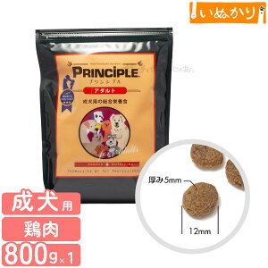 vVv A_g p 800g `L hCt[h hbOt[h  h{H i` wޕsgp  e