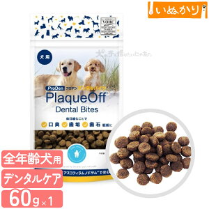 vf f^oCc 60g p SNp f^PA  g[c C  L C hCt[h hbOt[h