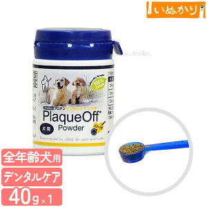 vf f^pE_[ 40g p SNp f^PA Tvg gbsO C  L C hCt[h hbOt[h sgp