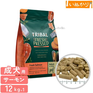 gCo tbVT[ 12kg p  VjA hbOt[h T[ sgp ~[g~[sgp R[hvX 畆уT|[g ֐߃PA e