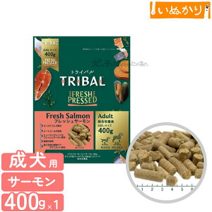 gCo tbVT[ 400g p  VjA hbOt[h T[ sgp ~[g~[sgp R[hvX 畆уT|[g ֐߃PA  e