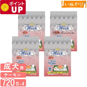 p[pX EBbV T[ p  p 720g (120g×6)×4 hCt[h OCt[ Ȃ̌Nێ HAM[ 畆EщPA  h{H Ki ܂Ƃߔ