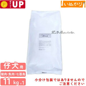 p[pX EBbV Chps[ p {A qp ꌢp 11kg e hCt[h OCt[ M~N h{H Ki