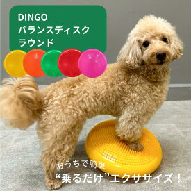 DINGO バランスディスク ラウンド 犬 ペット ドッグ バランスボール ドーナツ バランスディスク 小型犬 中型犬 大型犬 体幹トレーニング アジリティ シニア 健康 筋トレ