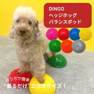 DINGO ヘッジホッグ バランスポッド 犬 ペット ドッグ バランスボール ドーナツ バランスディスク 小型犬…