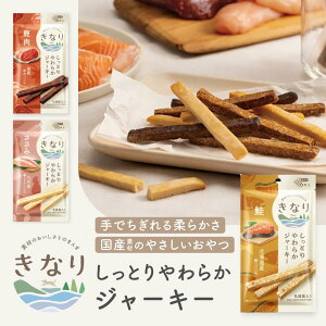 Ȃ Ƃ炩W[L[   Y Y 6{  p dog  ^ g[jO  VjA q T[