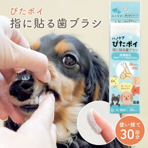 y`12/11 01:59܂ŁIz܂Ƃߔōő2,500~ItIKPS ҂|C 301  uV  ^ ӂӂ V[g  p  wTbN  ɂȂ f^PA