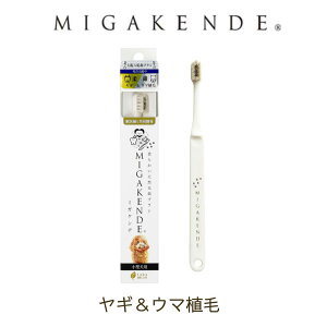 ~KPf MIGAKENDE VRюuV ME}A p   ^ puV ybgpuV I[PA ݂  a M E} { Y {