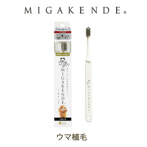 ~KPf MIGAKENDE VRюuV E}A p   ^ puV ybgpuV I[PA ݂  a M E} { Y {