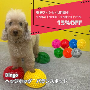 y`12/11 01:59܂ŁIz܂Ƃߔōő2,500~ItIDINGO wbWzbO oX|bh  ybg hbO oX{[ h[ic oXfBXN ^ ^ ^ ̊g[jO 