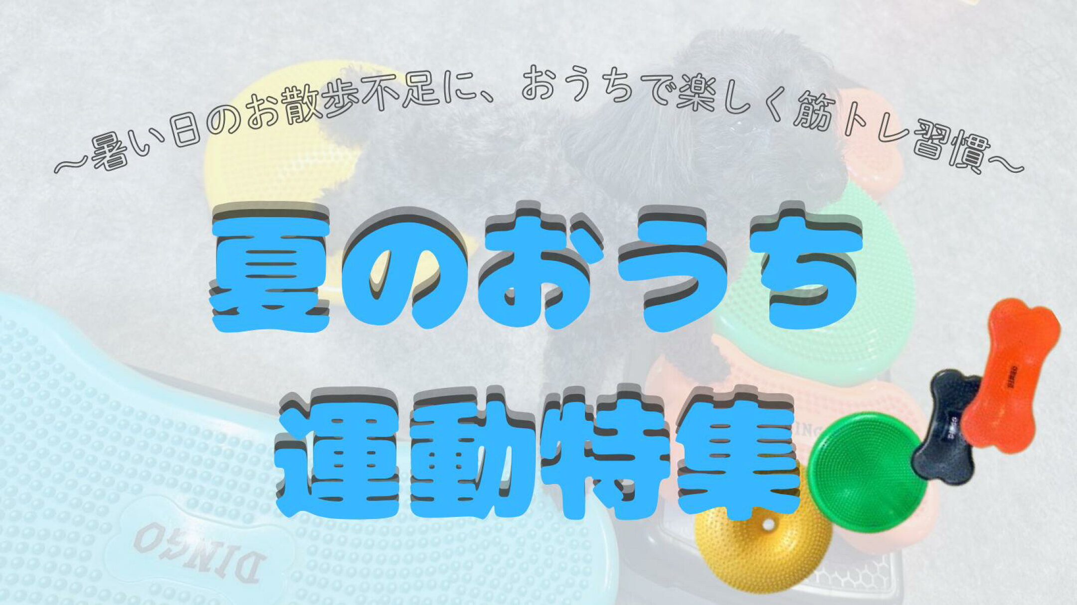 夏のおうち運動特集