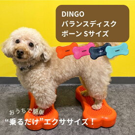 DINGO バランスディスク ボーン Sサイズ 犬 ペット ドッグ バランスボール ドーナツ バランスディスク 小型犬 中型犬 大型犬 体幹トレーニング アジリティ シニア 健康 筋トレ