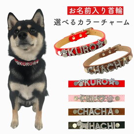 【キラキラネーム入り首輪】名入れ 首輪 革 レザー PU 犬用 犬 猫 オリジナル チャーム かわいい おしゃれ ネームプレート 人気 散歩 リード 記念品 誕生日 プレゼント ギフト 大型犬 小型犬 中型犬 カスタマイズ 柴犬 S M L 名前 入り ネーム 可愛い 贈り物 キラキラ 選ぶ