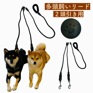 y [h 2z̃[h 2 _u[h p  [h p [h 2p _u cC Č v[h ` |jA ~j`A_bNXth  p