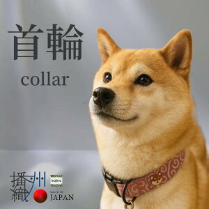 y ͗l by dBDz p Lp Č  U  炭 ybgObY ^ ^  ȒP  z ybgpi [h ͗l Vv  