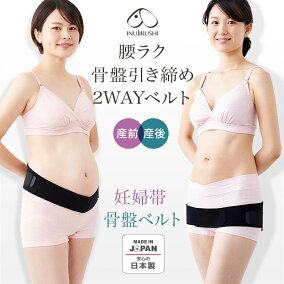 楽天市場 骨盤ベルト ブランド 犬印本舗 サイズ S M L Ll 人気ランキング1位 売れ筋商品 週間ランキング