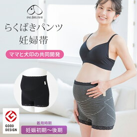 犬印本舗 マタニティ らくばきパンツ 妊婦帯 ブラック チャコール グレー ボーダー M Lサイズ 腹帯 マタニティインナー 肌に優しい 綿 出産準備 保温 締め付けなし ウエストゴム 不使用 | マタニティーパンツ ショーツ 妊娠帯 下着 妊婦 戌の日 パンツ 産前 マタニティー