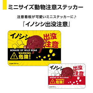 CmVV  XebJ[ V[  킢 j[N  W60×H40mm h UVJbg  Op ڈ X[cP[X oCfR AEghAObY   LP 쐶  
