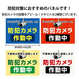 防犯カメラ 看板 プレート おしゃれ 作動中 録画中 不審者 警察 通報 英語 多言語 監視カメラ 泥棒 防犯 セキュリティ グッズ 設置 店舗用 ゴミ置き場 マンション 玄関 花壇 私有地 イタズラ ダミー 警告 シンプル 業務用 パネル W300×220mm