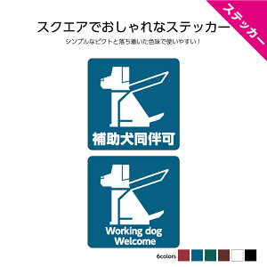 ⏕  OK  X\ ӓ  XebJ[ V[  p CoEh Vv 킢 JtF Xܗp { 킩₷ Ɩp h UVJbg `  W