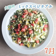 【1kg】【追加しました＊】【犬猫用トッピング材料】田舎の安心野菜でオーダーメイド☆犬猫用ミックスベ…