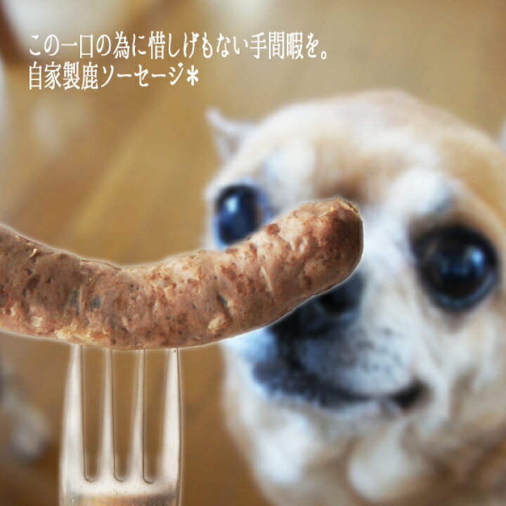 楽天市場 再入荷しました 犬猫用食品材料 兵庫県但馬産 100 天然鹿のソーセージ 1本 手作り食 犬ご飯 猫ごはん トッピング ふりかけ 峰鹿谷 手作り派の犬ごはん食材店いぬなご
