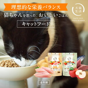 _ő20%OFF ~11܂Ł^TL L Lbgt[h L I[Xe[W hC h{H Y Y N h{ OCt[ `L   f߂