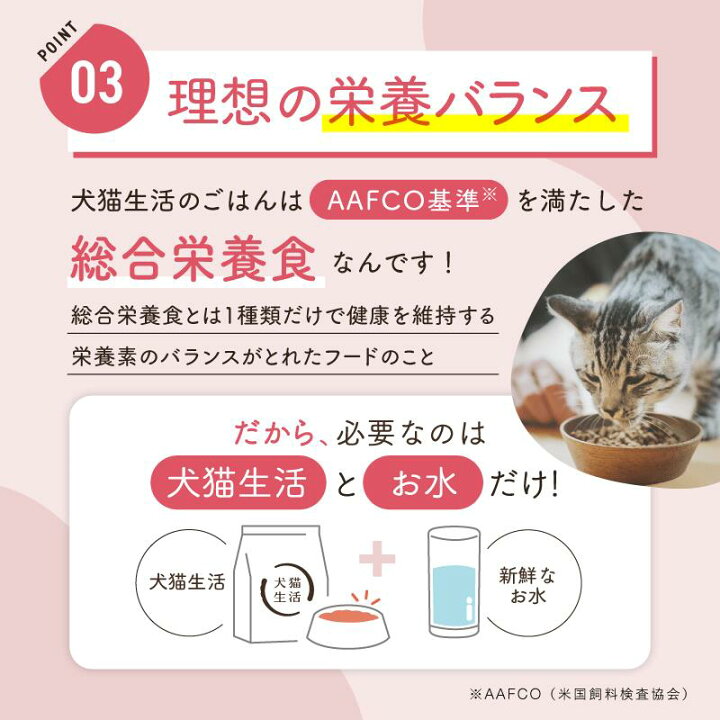 楽天市場】【10％OFF☆クーポン配布】特典付き【犬猫生活】猫 