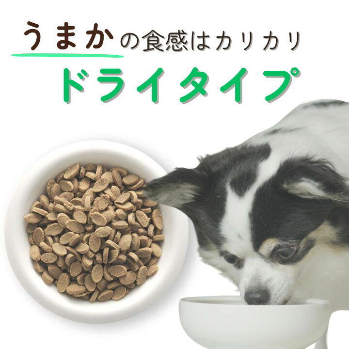 【公式】ドッグフードお試しうまかやわか170g国産総合栄養食全犬種全年齢保存料・酸化防止剤無添加着色料・香料不使用小粒小型犬ドライフードシニアパピー涙やけチキン毛並みおすすめランキング人気サンプル【初回限定】【メール便】【送料無料】
