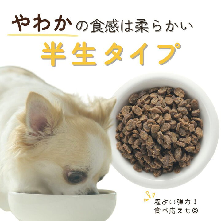 【公式】ドッグフードお試しうまかやわか170g国産総合栄養食全犬種全年齢保存料・酸化防止剤無添加着色料・香料不使用小粒小型犬ドライフードシニアパピー涙やけチキン毛並みおすすめランキング人気サンプル【初回限定】【メール便】【送料無料】