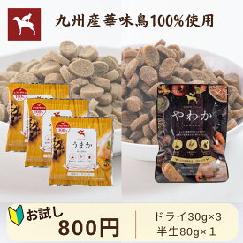 【公式】ドッグフード お試し うまか やわか 170g 国産 総合栄養食 全年齢 保存料・酸化防止剤 無添加 着色料・香料不使用 小粒 小型犬 ドライ フード シニア パピー 涙やけ チキン 毛並み おすすめ サンプル トライアル メール便 送料無料