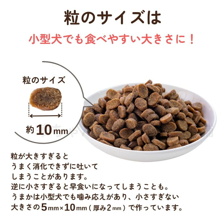 楽天市場】＼マラソン期間中 P5倍／【公式】ドッグフード やわか 80g 