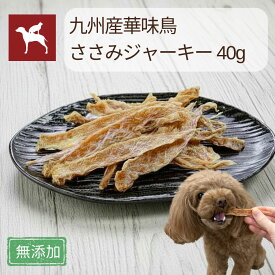 【公式】犬 おやつ ささみ ジャーキー 国産 無添加 うまか 全犬種 ハードタイプ チキン 華味鳥 低カロリー 猫 メール便 ドッグフード 【まとめ買い で 送料無料 】 ささみジャーキー40g