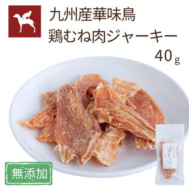 【公式】犬 おやつ むね肉 ジャーキー 40g 国産 無添加 鶏 うまか 全犬種 チキン 華味鳥 低カロリー 猫 メール便 送料無料 ドッグフード 【まとめ買い がお得！】