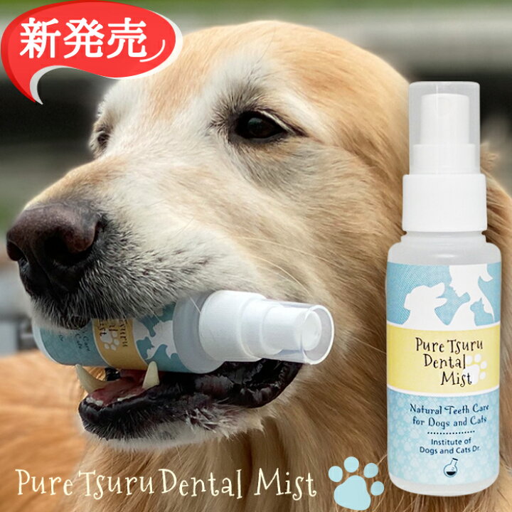 楽天市場 ミスト歯磨き 80ml 犬 デンタルケア わんこの 犬 歯石除去 歯垢 犬 歯石取り 猫 歯石取り 犬 口臭 犬 歯磨き粉 歯磨きミスト 猫 無添加 口臭予防 安心安全な100 天然由来 歯磨きミスト ピュアツルミスト 犬猫博士の研究所